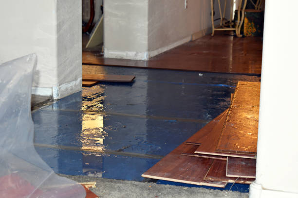 Professional Burst Pipe Cleanup technician working in Rhinelander, WI